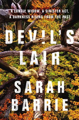 Cover image for Devil's Lair