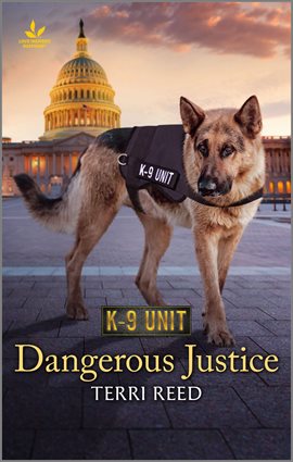 Cover image for Dangerous Justice