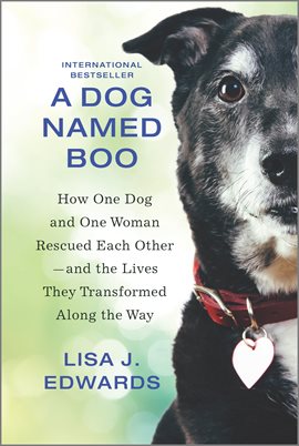 Cover image for A Dog Named Boo