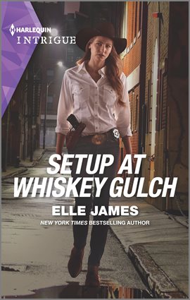 Cover image for Setup at Whiskey Gulch