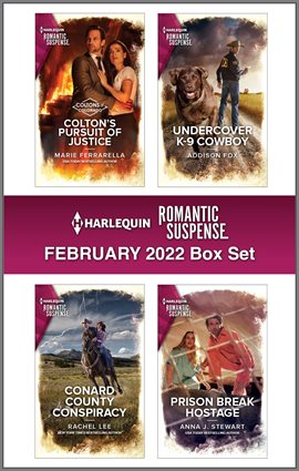 Cover image for Harlequin Romantic Suspense February 2022 - Box Set