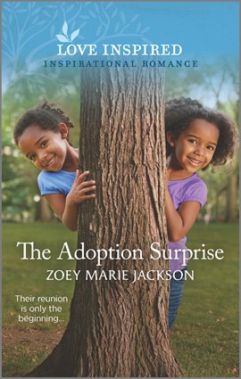 Cover image for The Adoption Surprise
