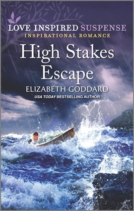 Cover image for High Stakes Escape