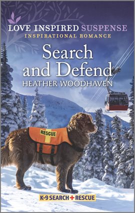 Cover image for Search and Defend