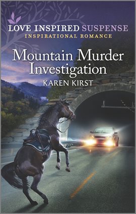 Cover image for Mountain Murder Investigation