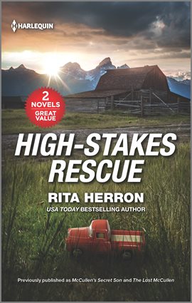 Cover image for High-Stakes Rescue