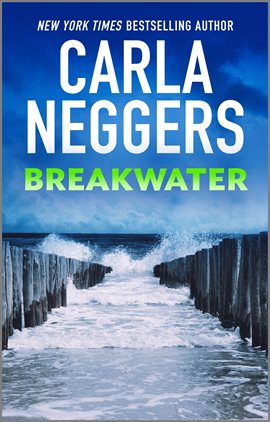 Cover image for Breakwater