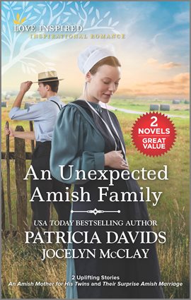 Cover image for An Unexpected Amish Family