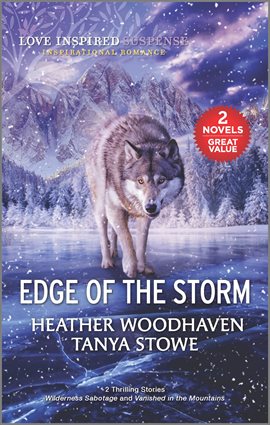 Cover image for Edge of the Storm
