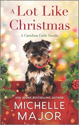 Cover image for A Lot Like Christmas