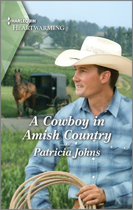 Cover image for A Cowboy in Amish Country