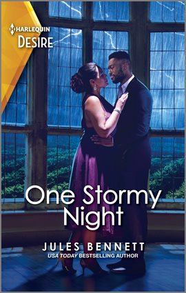 Cover image for One Stormy Night