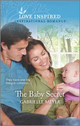 Cover image for The Baby Secret