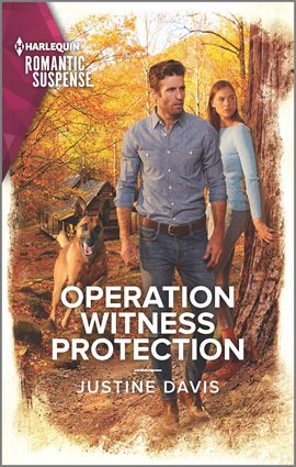 Cover image for Operation Witness Protection