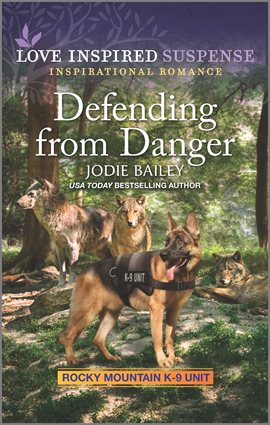 Cover image for Defending from Danger