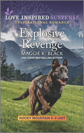 Cover image for Explosive Revenge