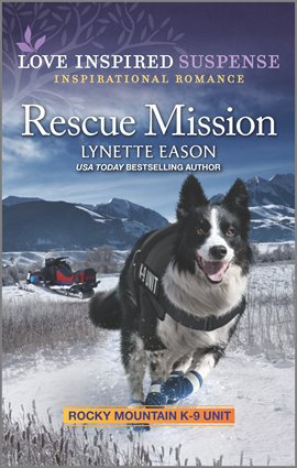 Cover image for Rescue Mission