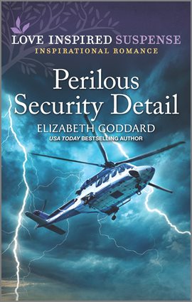 Cover image for Perilous Security Detail