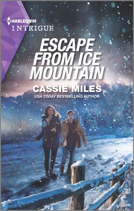 Cover image for Escape from Ice Mountain