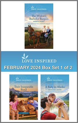 Cover image for Love Inspired February 2024 Box Set - 1 of 2