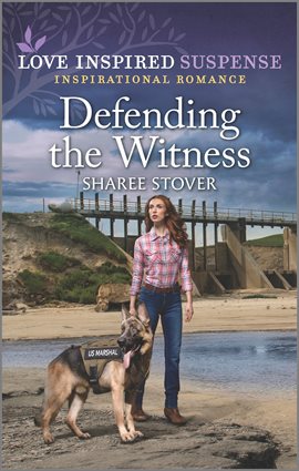Cover image for Defending the Witness
