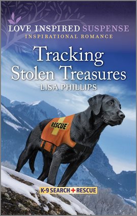 Cover image for Tracking Stolen Treasures