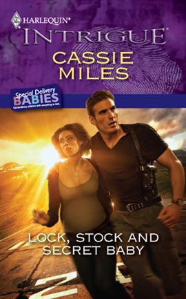Cover image for Lock, Stock and Secret Baby