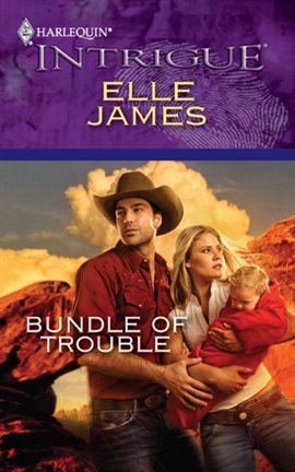 Cover image for Bundle of Trouble