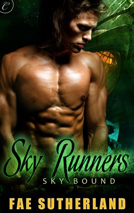 Cover image for Sky Runners