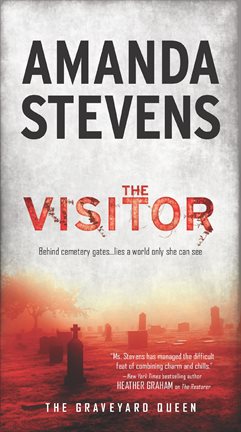 Imagen de portada para The Visitor