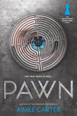 Cover image for Pawn