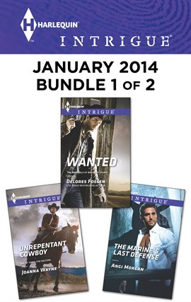 Cover image for Harlequin Intrigue January 2014 - Bundle 1 of 2