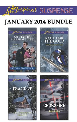 Cover image for Love Inspired Suspense January 2014 Bundle