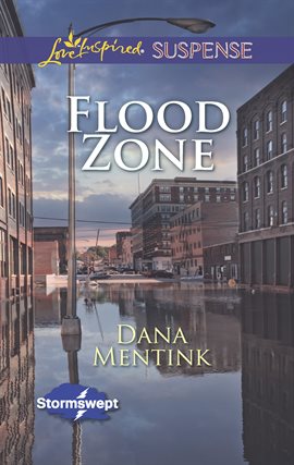 Cover image for Flood Zone