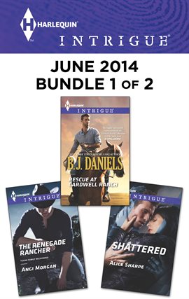 Cover image for Harlequin Intrigue June 2014 - Bundle 1 of 2