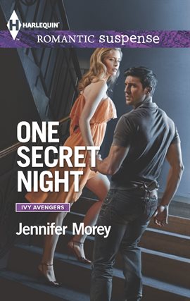Cover image for One Secret Night