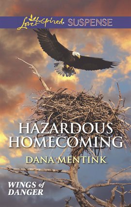Cover image for Hazardous Homecoming