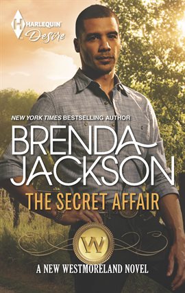 Cover image for The Secret Affair