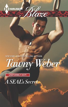Cover image for A SEAL's Secret