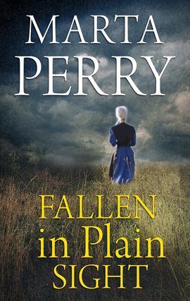 Imagen de portada para Fallen in Plain Sight