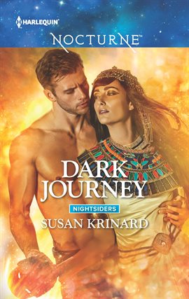 Cover image for Dark Journey