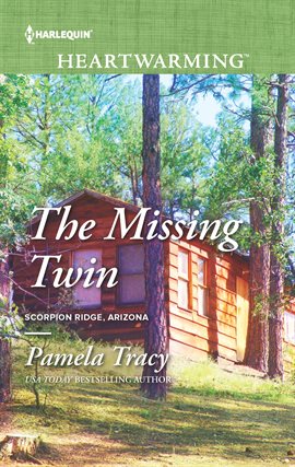 Cover image for The Missing Twin