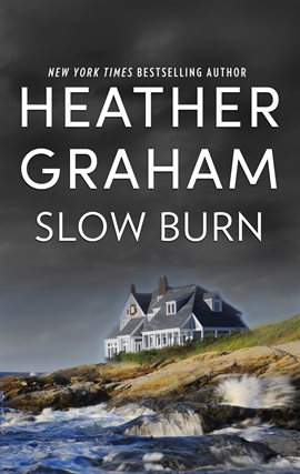 Cover image for Slow Burn