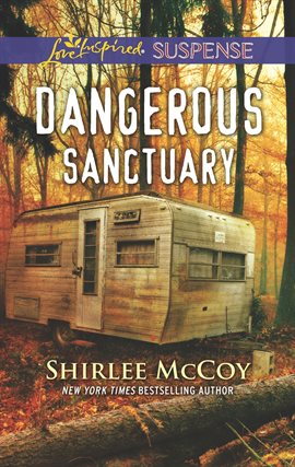 Cover image for Dangerous Sanctuary