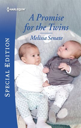 Cover image for A Promise for the Twins