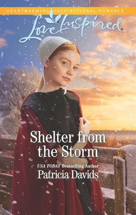 Cover image for Shelter from the Storm