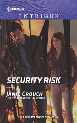 Cover image for Security Risk