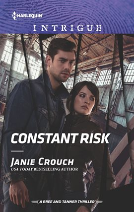 Cover image for Constant Risk