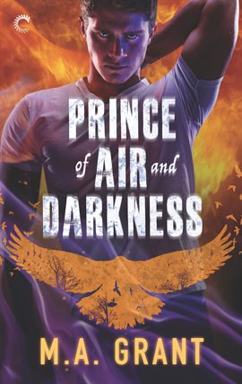 Cover image for Prince of Air and Darkness