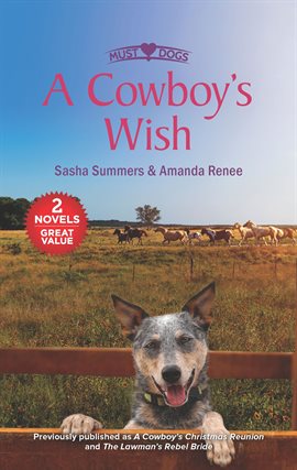 Cover image for A Cowboy's Wish